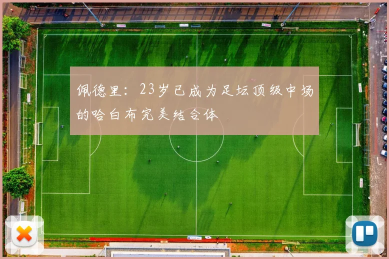佩德里：23岁已成为足坛顶级中场的哈白布完美结合体